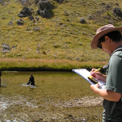 Bank Spotter records fish observed