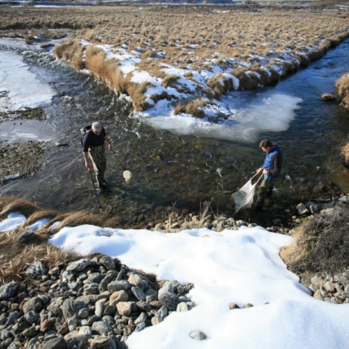 Fisheries Research