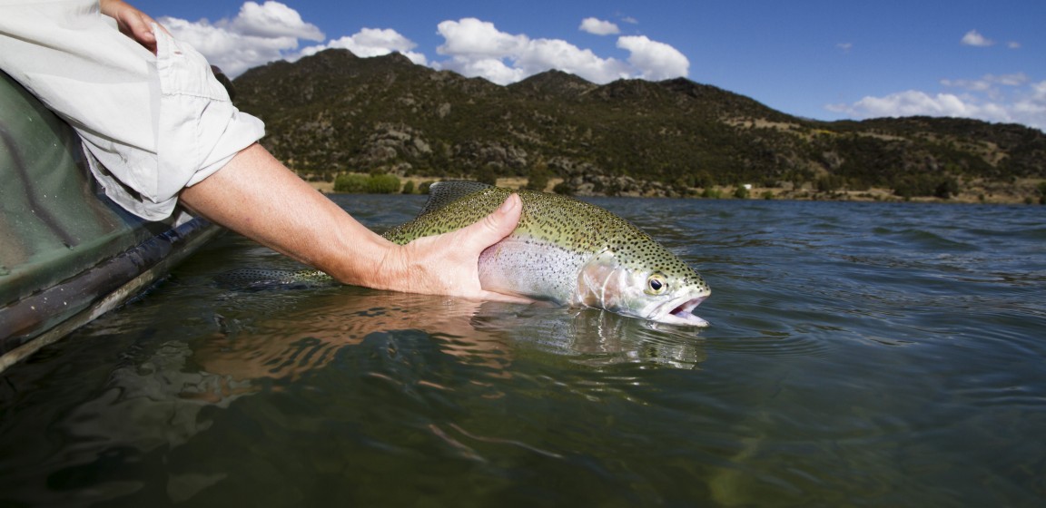 Fishing Dunstan 22 12 2012 23