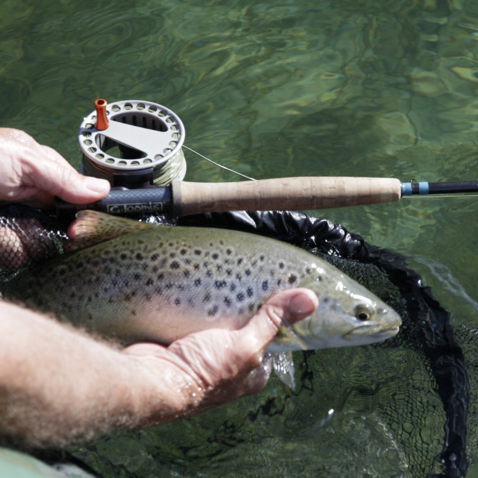 Fishing Dunstan 22 12 2012 2