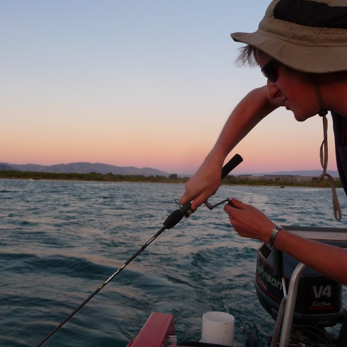 Look at me Im Mad Dog