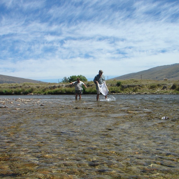 Nevis Invertabrate Survey