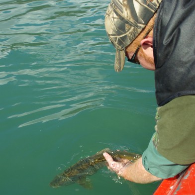 Stonies Tour Oct 08 19