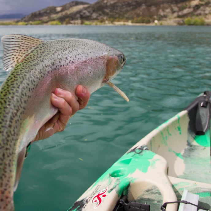 kayak lake dunstan 2013 8